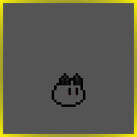 Black Dog Ears Black Dog Ears