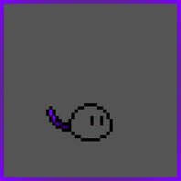 Purple Cat Tail Purple Cat Tail