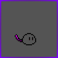 Pink Cat Tail Pink Cat Tail